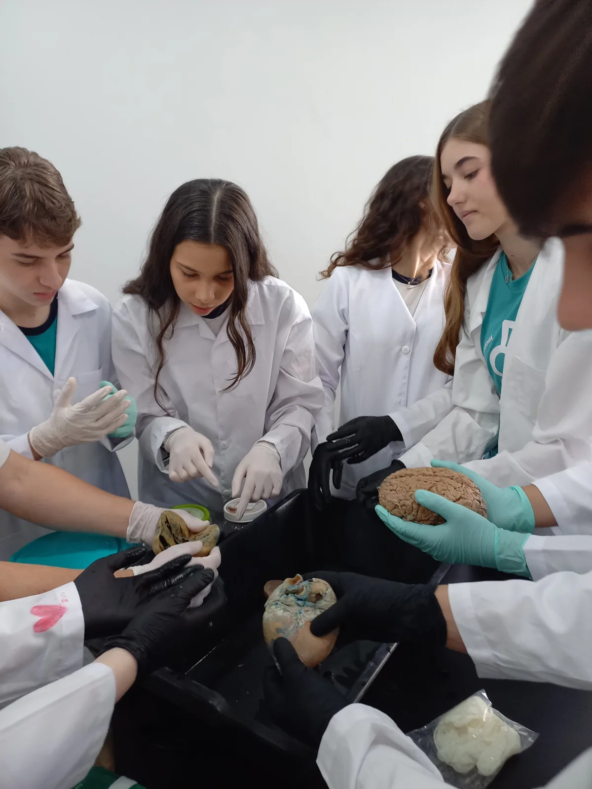 Alunos da PREMERE em aula prática de anatomia no laboratório